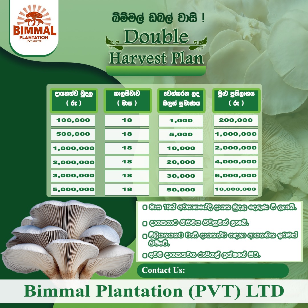 Double Harvest Plan
