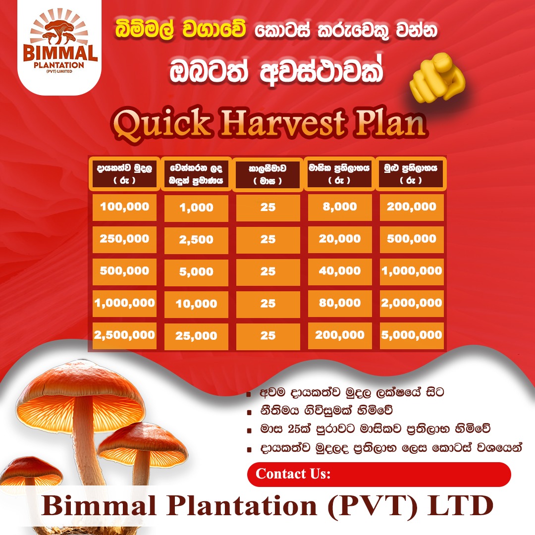 Quick Harvest Plan